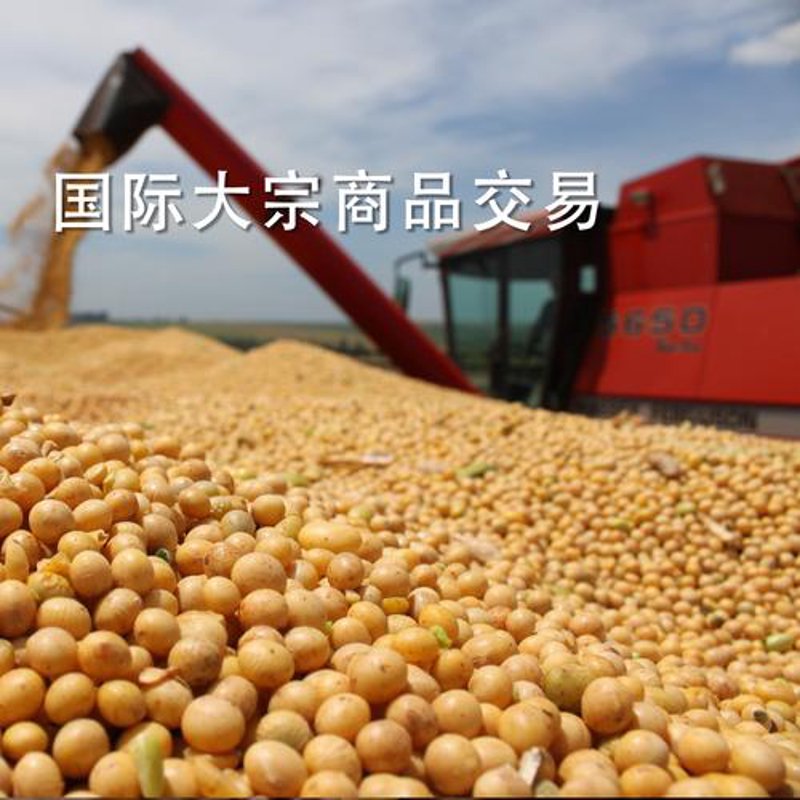 天津进出口贸易公司的业务策略：如何抓住市场机遇